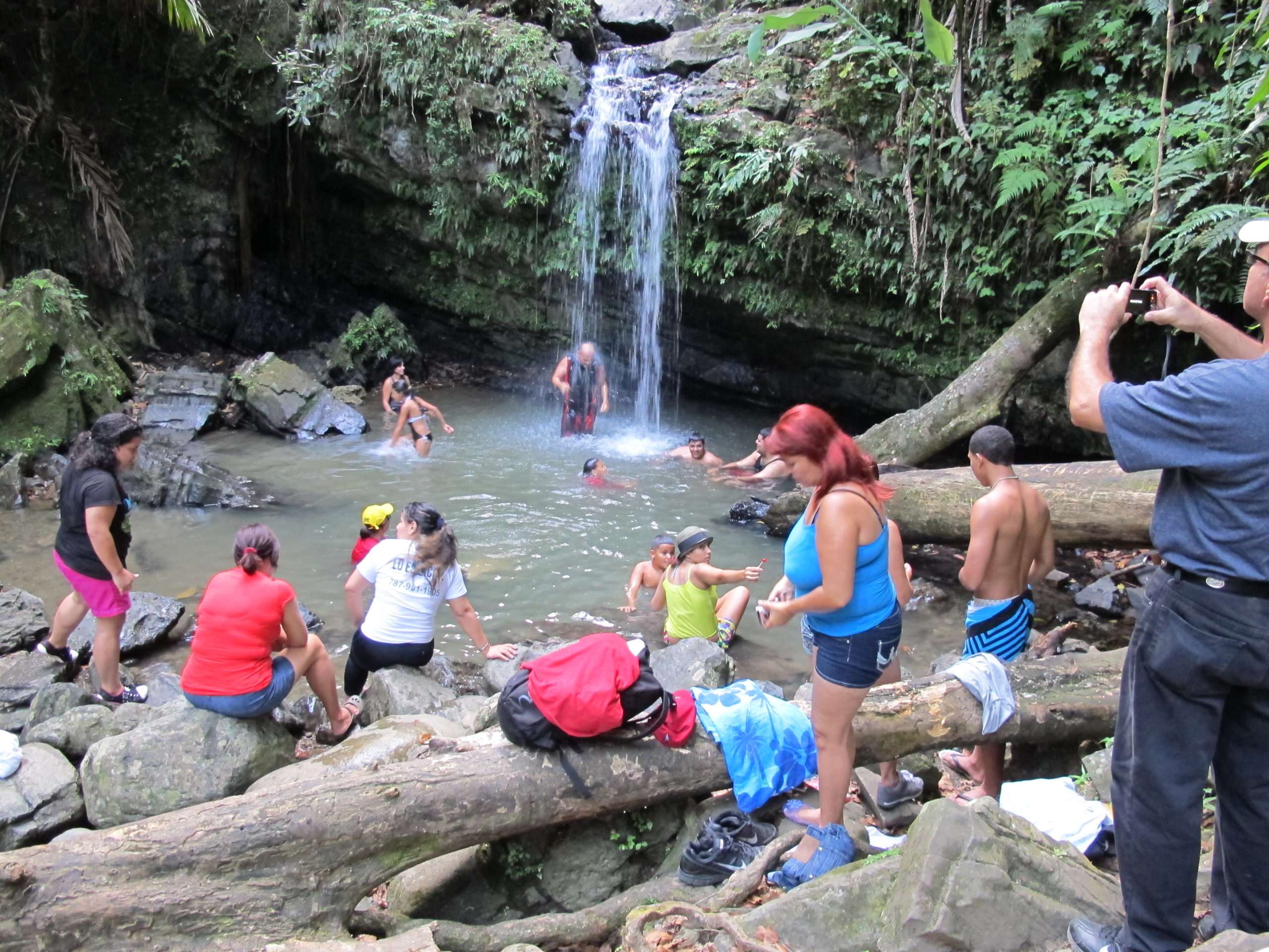 El Yunque National Rainforest, Puerto Rico: Otra vez “de Tour” con Lo Esencial